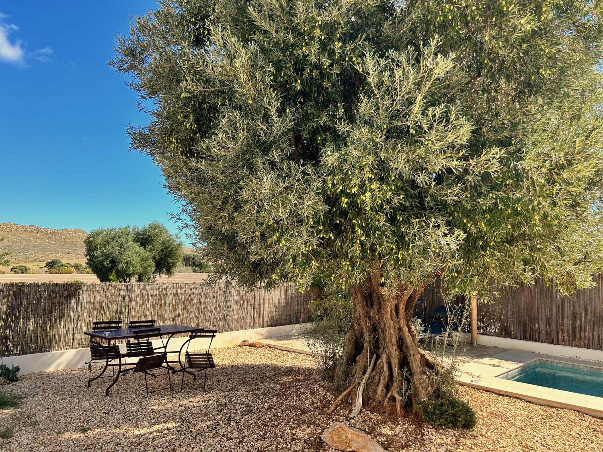 Villa Filon رودالكيلار المظهر الخارجي الصورة