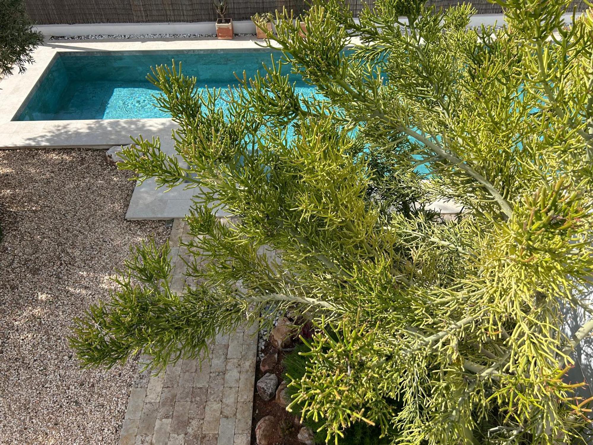 Villa Filon رودالكيلار المظهر الخارجي الصورة